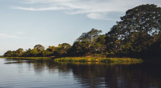 Pantanal