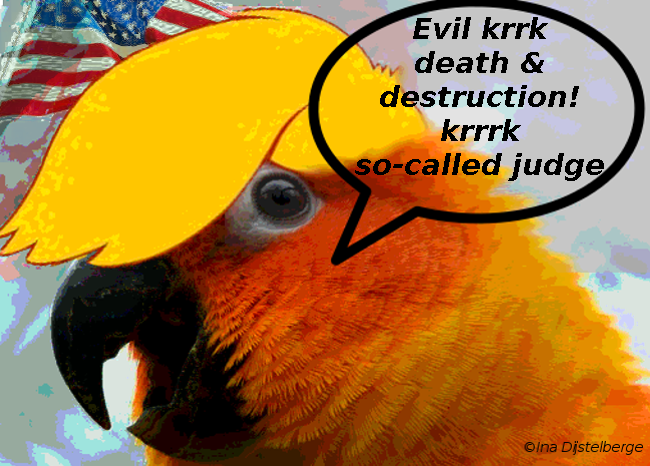 orange parrot evil, so-called judge
